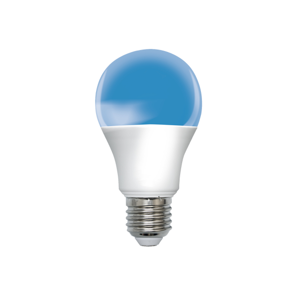 Easy Bulb E27CW Vista frontal miniatura