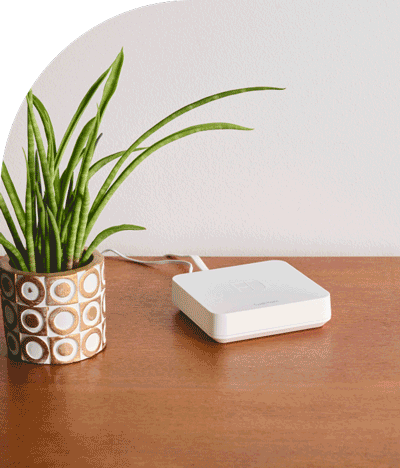 imagen de ilustración